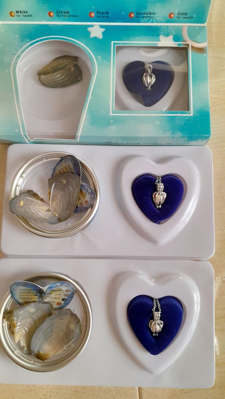 Freshwater Shell Canned Oyster Ocean Love Real Pearl Necklace Set